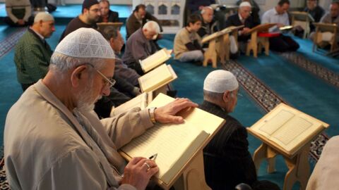 كم عدد المسلمين في ألمانيا