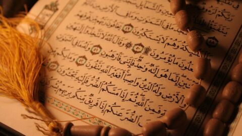 كم جزء في القرآن