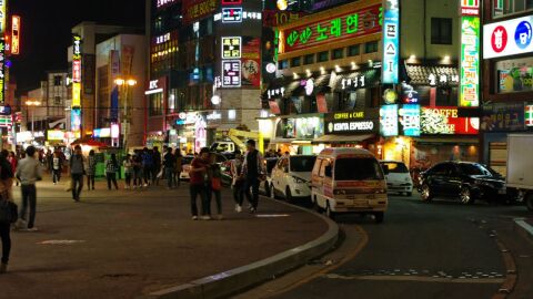 كم يبلغ عدد سكان كوريا الجنوبية