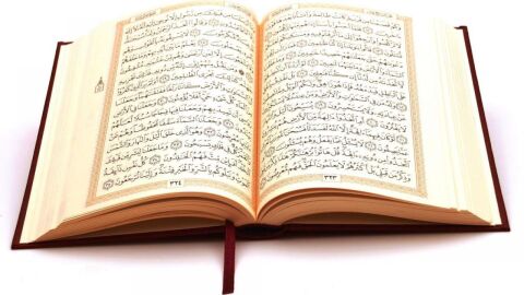 كم سجدة في القرآن