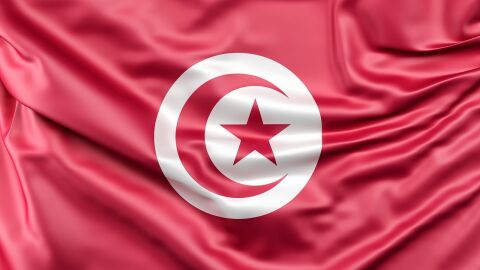 كم عدد الولايات في تونس