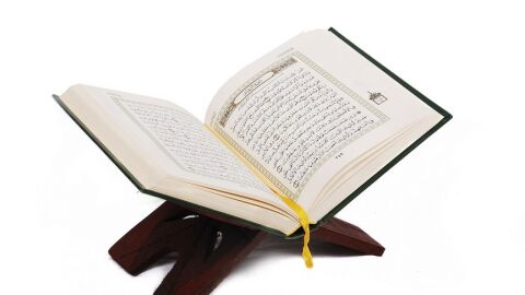 كم عدد السور في القرآن