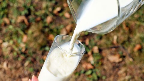 كم يحتوي كوب الحليب من البروتين