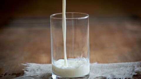 كم يحتوي لتر الحليب من البروتين