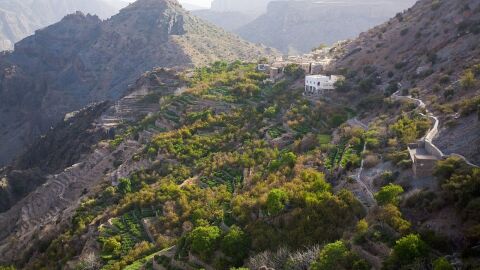 كم يبلغ ارتفاع الجبل الأخضر في عمان