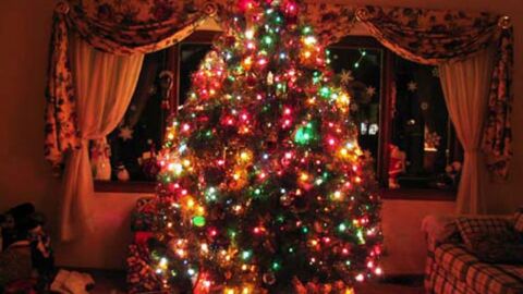 طريقة عمل شجرة الكريسماس