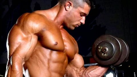 كيف تبني عضلات