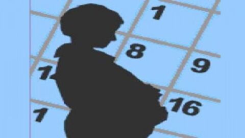 كيفية حساب شهور الحمل