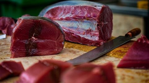 كيفية طبخ سمك التونة الطازج