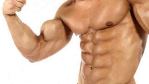 كيفية تكوين عضلات البطن