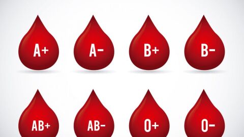 كيفية اكتشاف فصائل الدم