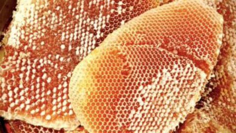 كيف أكتشف العسل الأصلي