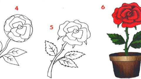 طريقة رسم الوردة