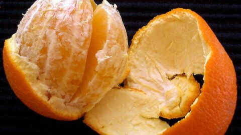 كيفية تجفيف قشر البرتقال