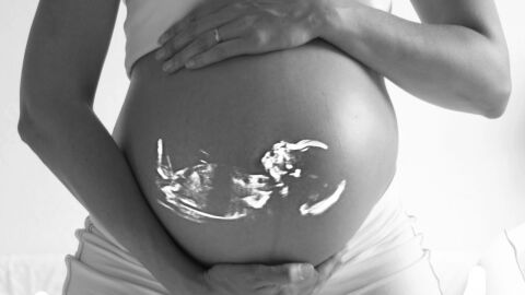 كيفية تكوين الجنين في بطن الأم