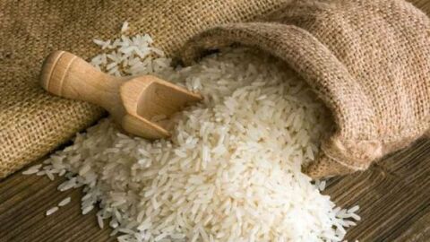 كيفية التخلص من سوس الأرز