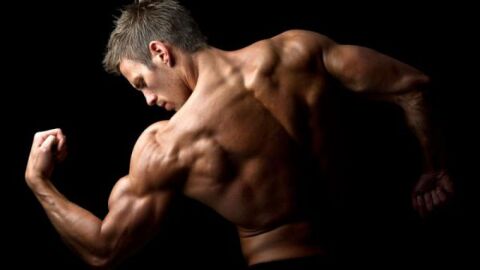 كيف تحصل على عضلات قوية