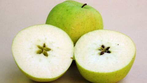 كيف أزرع بذور التفاح