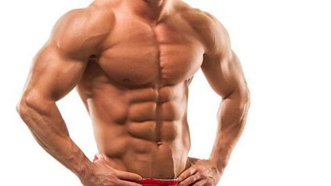 كيف أزيد حجم العضلات