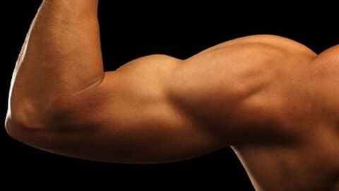كيفية زيادة حجم عضلات الذراعين