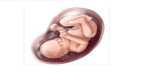 كيفية معرفة وضع الجنين