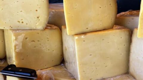 كيف تصنع الجبن من الحليب