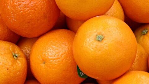 طريقة عمل عصير برتقال