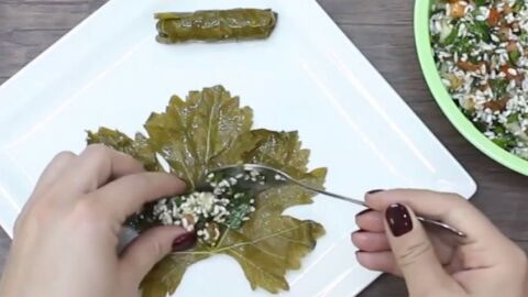 طريقة عمل محشي ورق العنب الصيامي