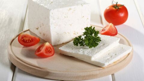 كيفية صناعة الجبن الأبيض