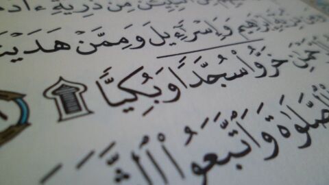 كيفية أداء السجدة في القرآن