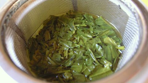 كيفية إعداد الشاي الأخضر