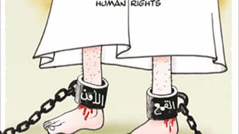 كيفية حماية حقوق الانسان