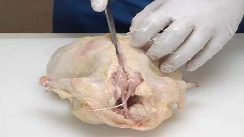 طريقة نزع العظم من الدجاج