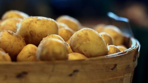 طريقة حفظ البطاطس