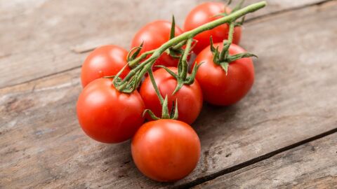 طريقة حفظ الطماطم لفترة طويلة