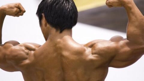 كيف يمكن تقوية العضلات