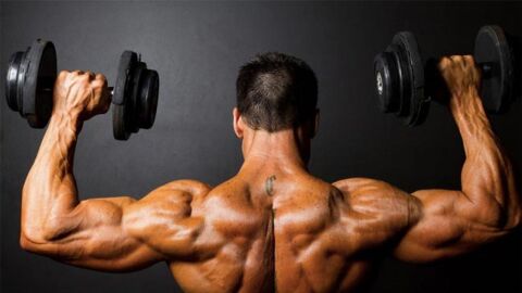 كيف تقوي العضلات