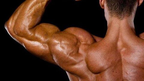 كيف نقوي العضلات