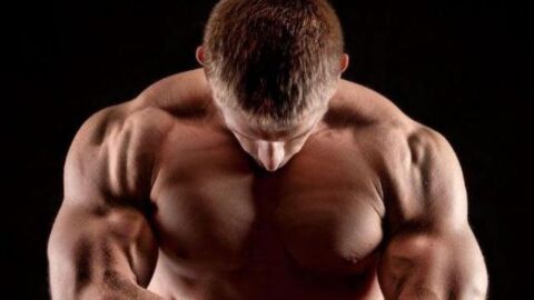 كيف تقوي عضلات كتفيك
