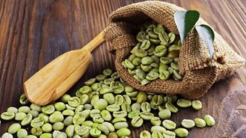 كيفية استعمال حبوب القهوة الخضراء للتنحيف