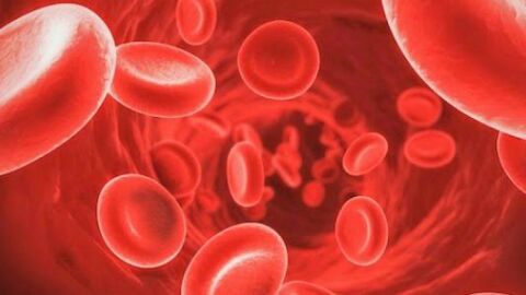 زيادة الكريات الحمراء في الدم