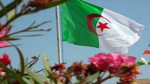 معلومات عن دولة الجزائر