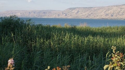 بحيرة طبريا والمسيح الدجال
