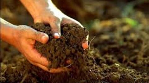 بحث عن مكونات التربة