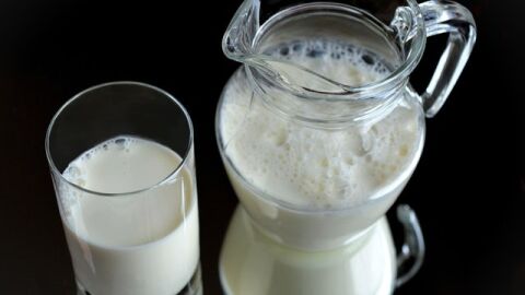 بحث عن فوائد الحليب