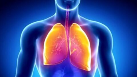 المحافظة على صحة الجهاز التنفسي