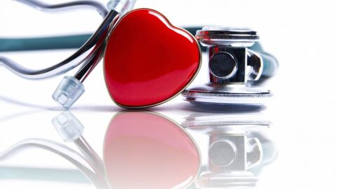 المحافظة على القلب والأوعية الدموية