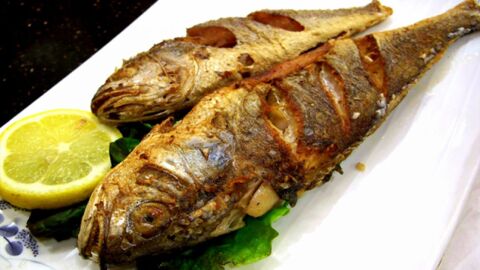 طرق طبخ سمك الهامور
