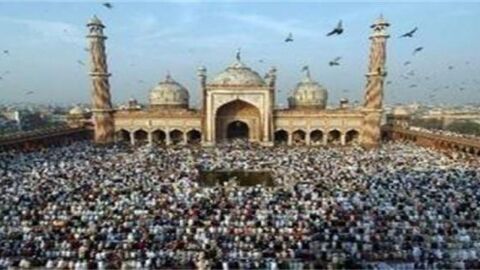 عدد السكان المسلمين في الهند