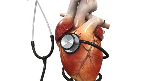 تضخم عضلة القلب وعلاجها